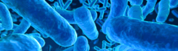 Schermafbeelding 2015-07-23 om 15.52.36