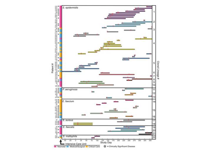 WGS ICU timeline