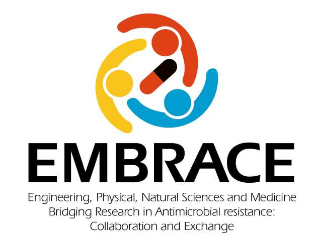 Embrace logo ok