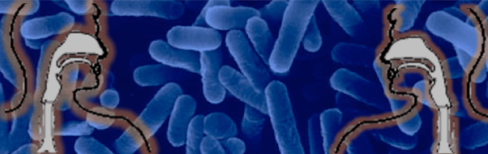 Schermafbeelding 2016-03-04 om 00.40.08