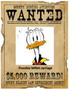 Schermafbeelding 2016-04-23 om 16.20.16