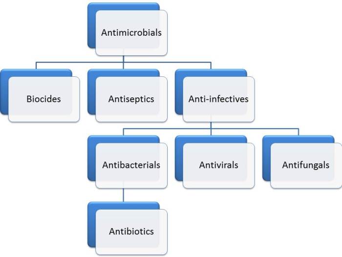 antimicrobial terminology