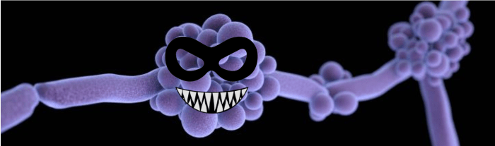 schermafbeelding-2016-11-08-om-10-59-42